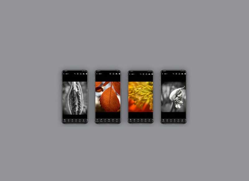 CreativeLive - Mobile Macro Photography