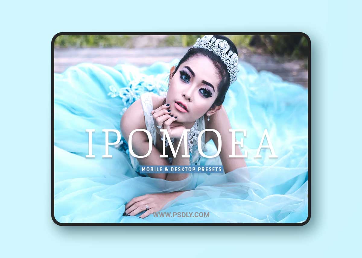 CreativeMarket - Ipomoea Pro Lightroom Presets 7039555