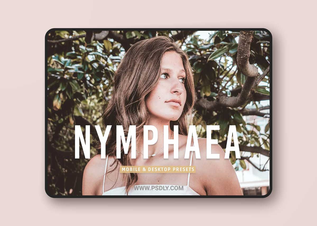CreativeMarket - Nymphaea Pro Lightroom Presets 7039562