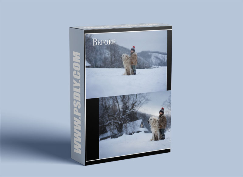 Iwona Podlasinska Niko and Bona