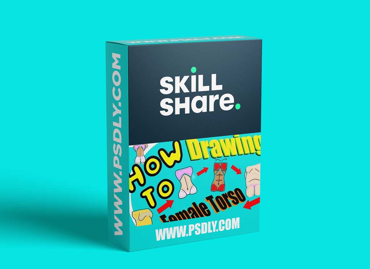 Learn To Draw a Female Torso (For Artists)