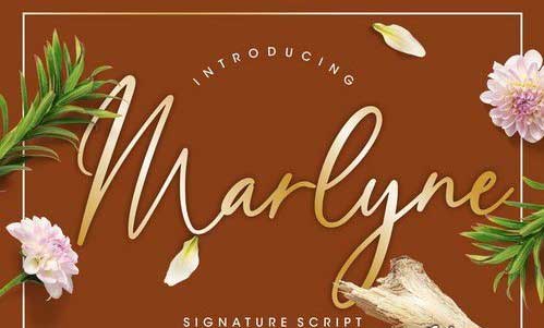 Marlyne Signature Script