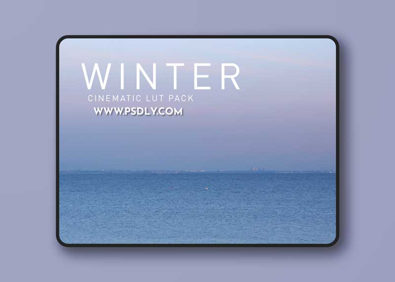 Noam Kroll CINEMATIC LUTS WINTER