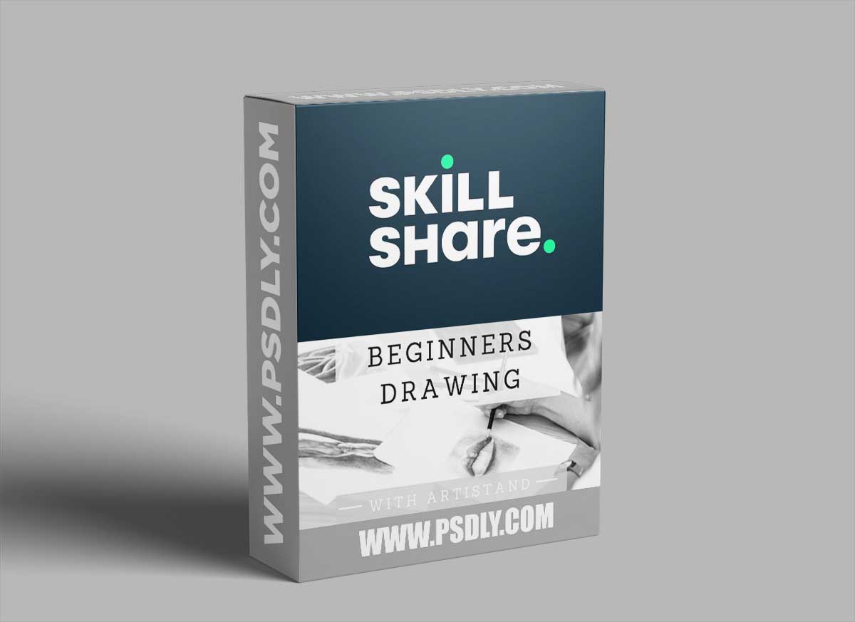 Pencil Drawing - The Fundamental Guide