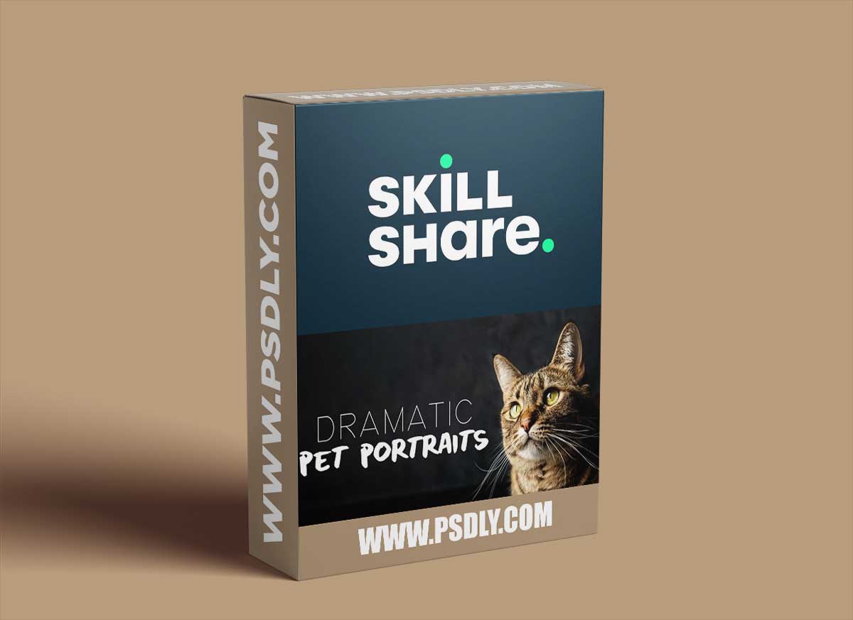 Pet Portraits: Capture Studio-Quality Photos of Your Pet