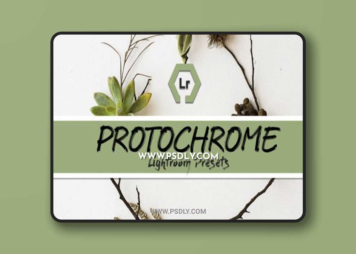 Protochrome Lightroom Presets