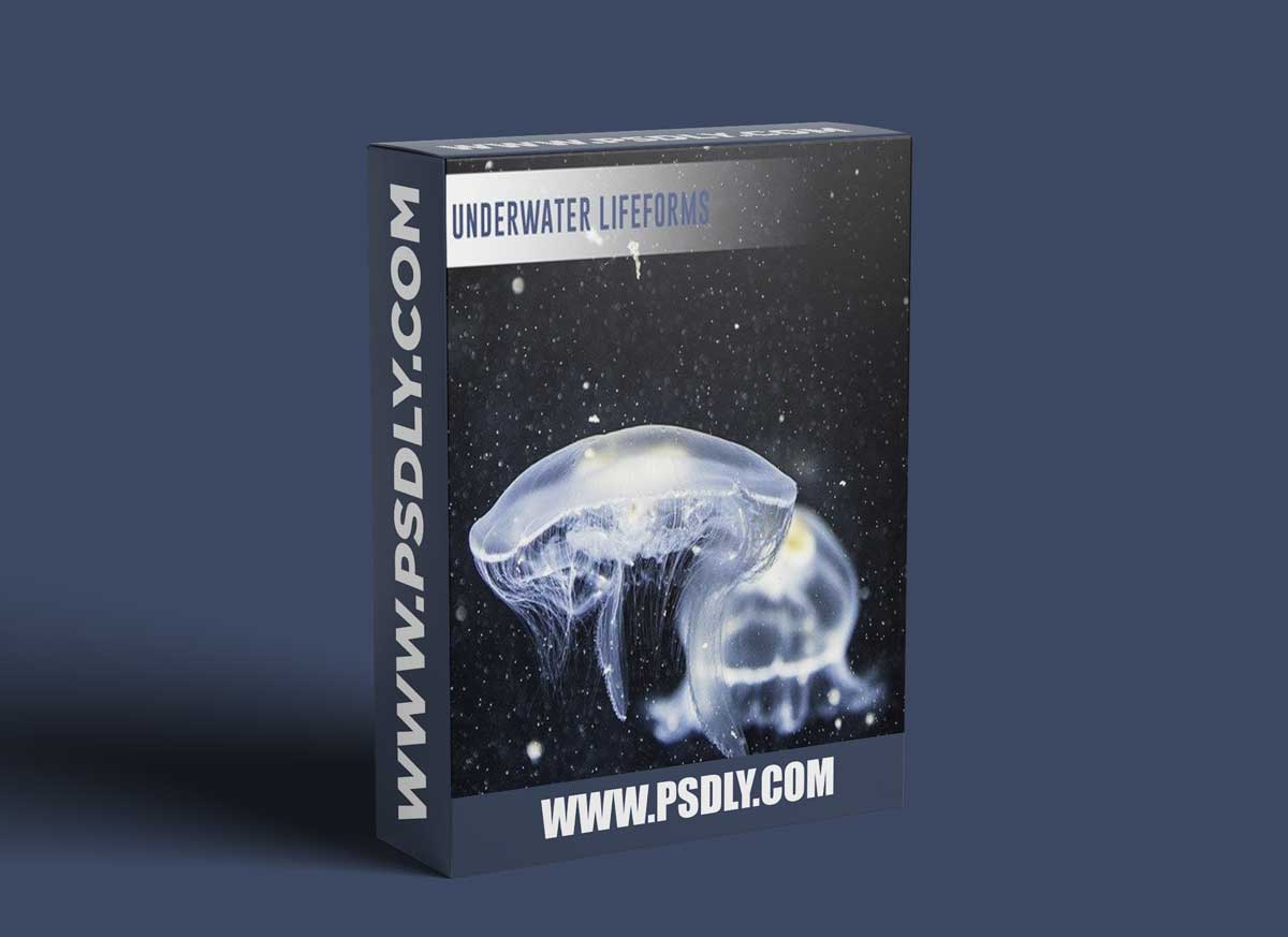 SFXtools Underwater Lifeforms WAV