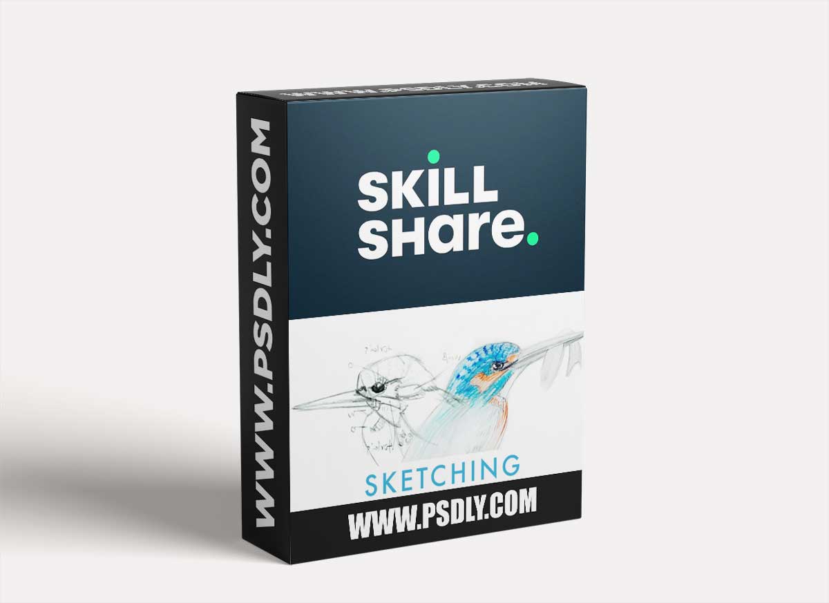 Sketching Fundamentals - Learn Basic Drawing Techniques for Nature