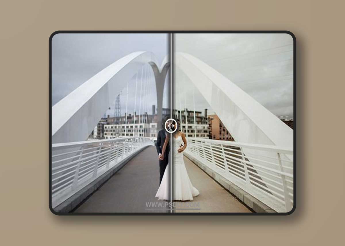 Wildhearts Lightroom & ACR Presets Pack