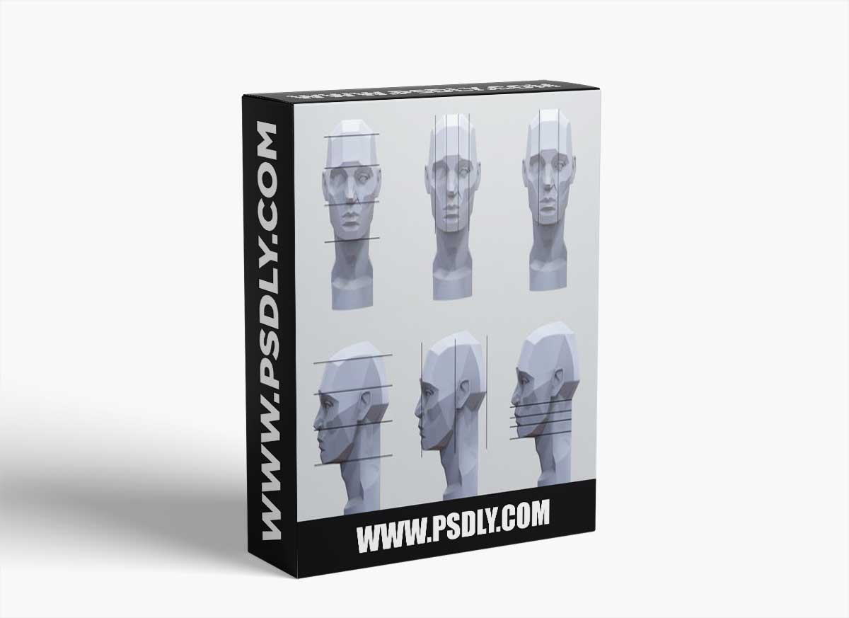 Artstation – Planes of the Head - Study Notes