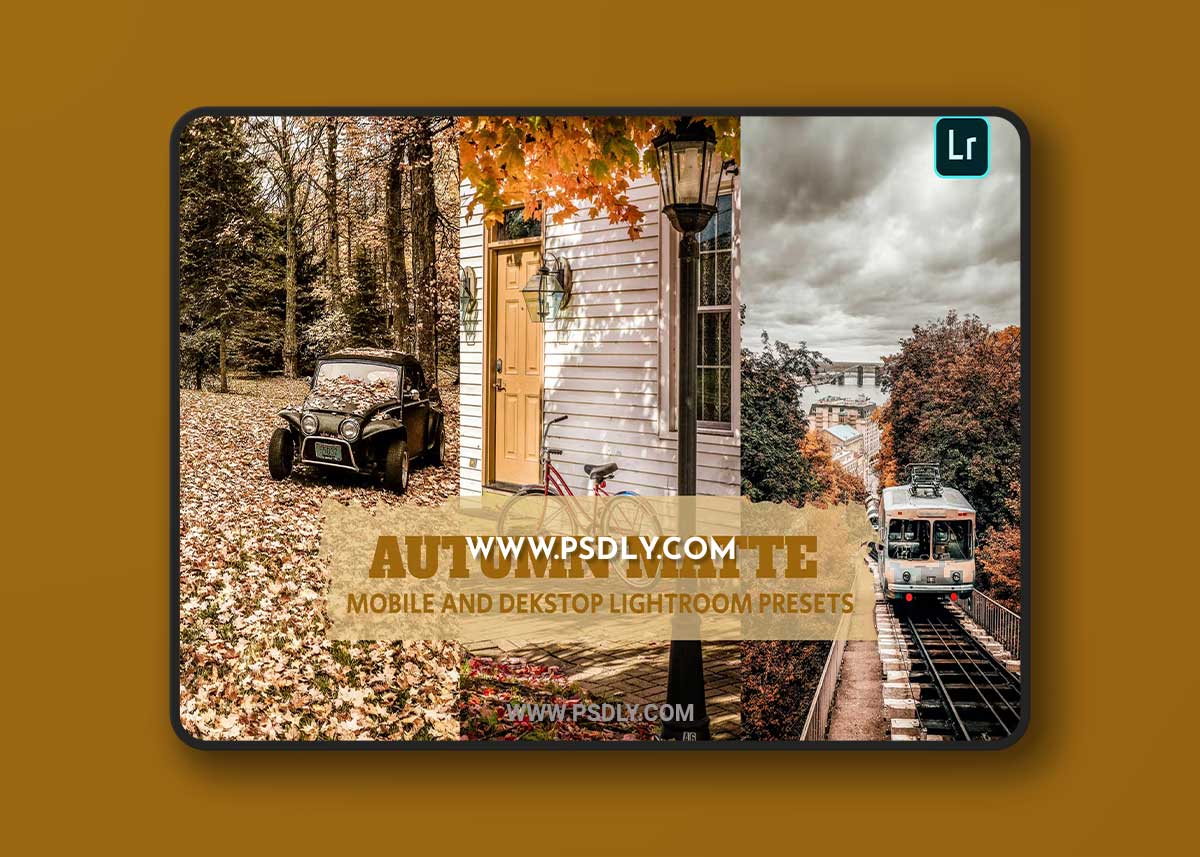 Autumn Matte Lightroom Presets Dekstop and Mobile