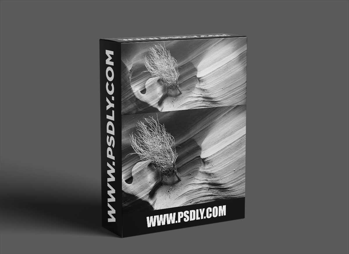 CreativeLive - Creating and Maintaining a Useful Digital Portfolio