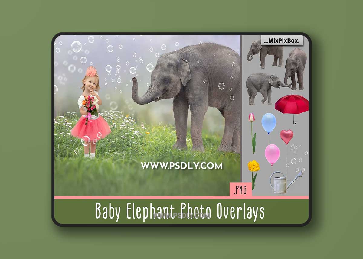 CreativeMarket - Baby Elephant Photo Overlays 5069631