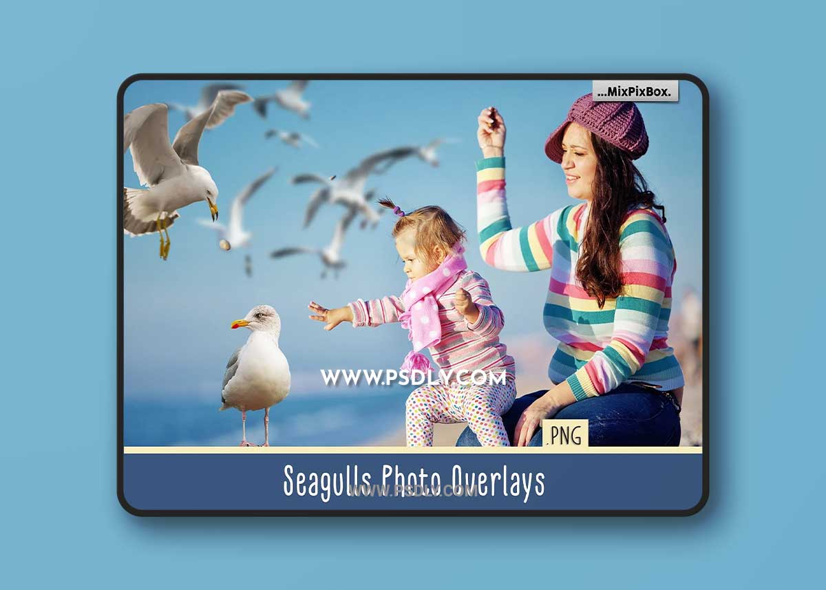 CreativeMarket - Seagulls Overlays 4085794