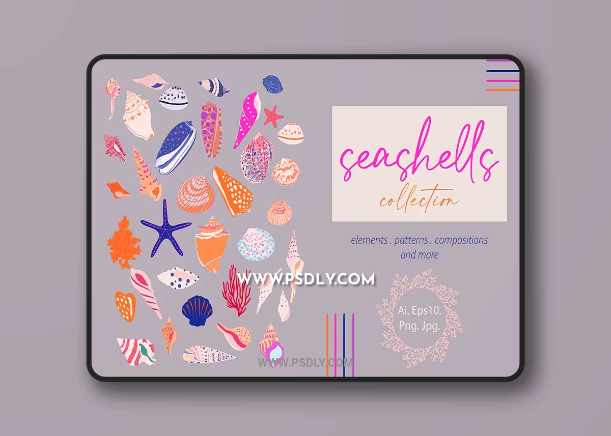 CreativeMarket - Seashells Collection 5962683