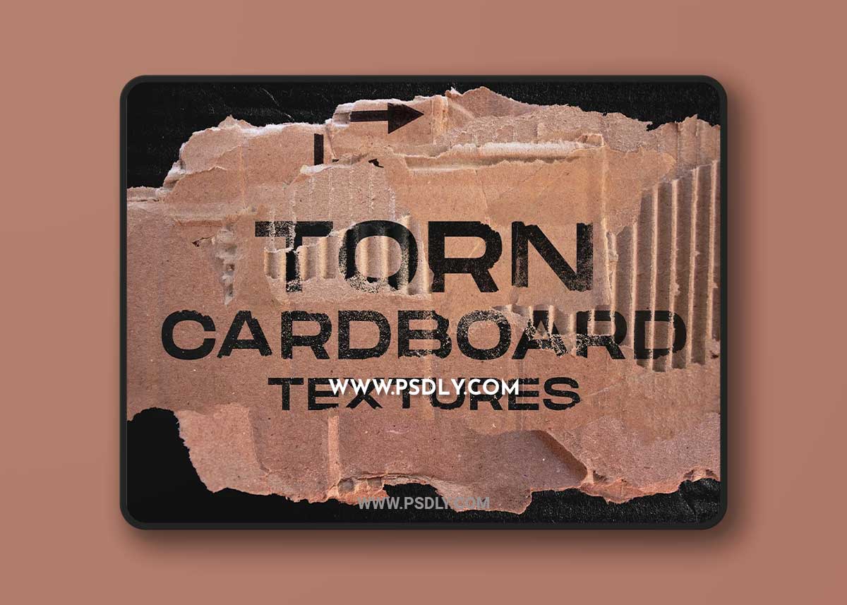 CreativeMarket - Torn cardboard textures 6115430