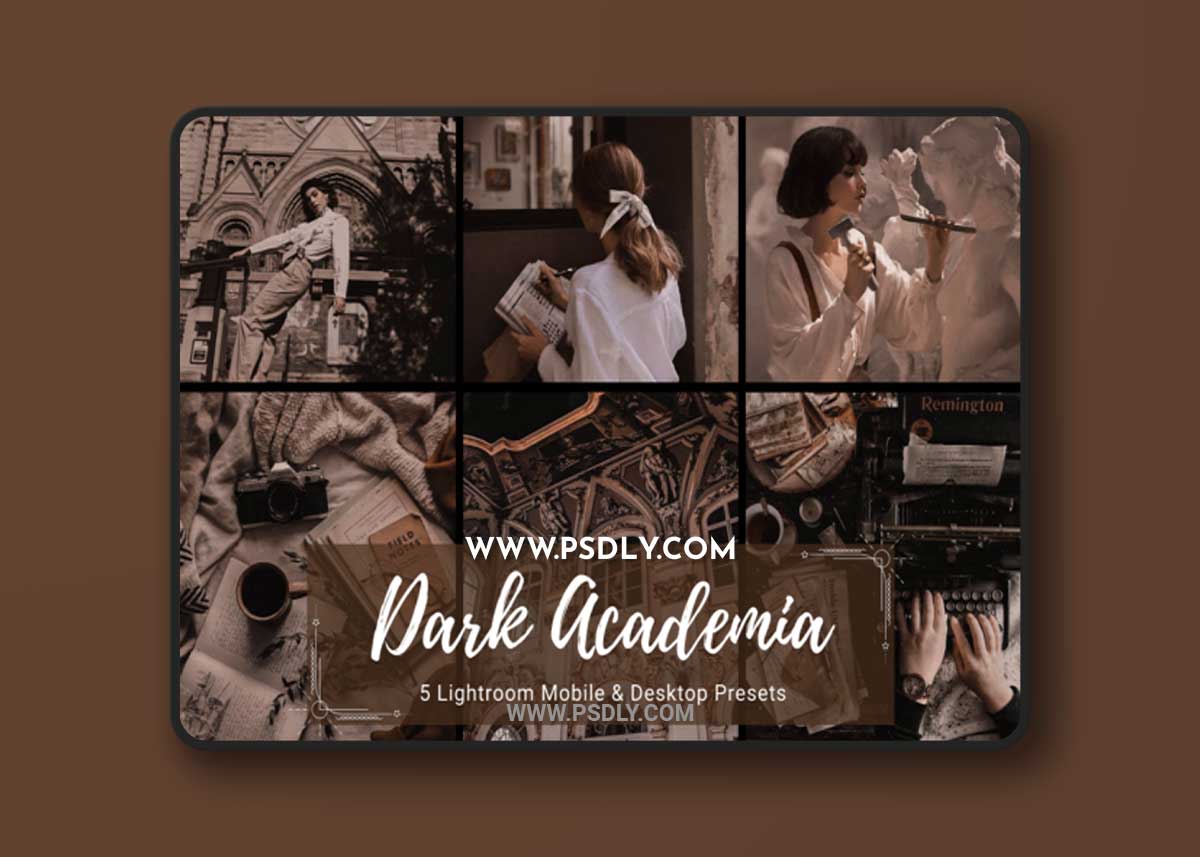 Dark Academia Fashion Lightroom Presets