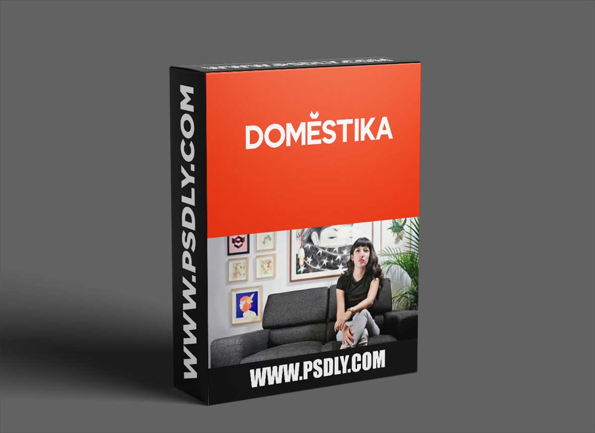 Domestika - Design and Illustration of a Fanzine