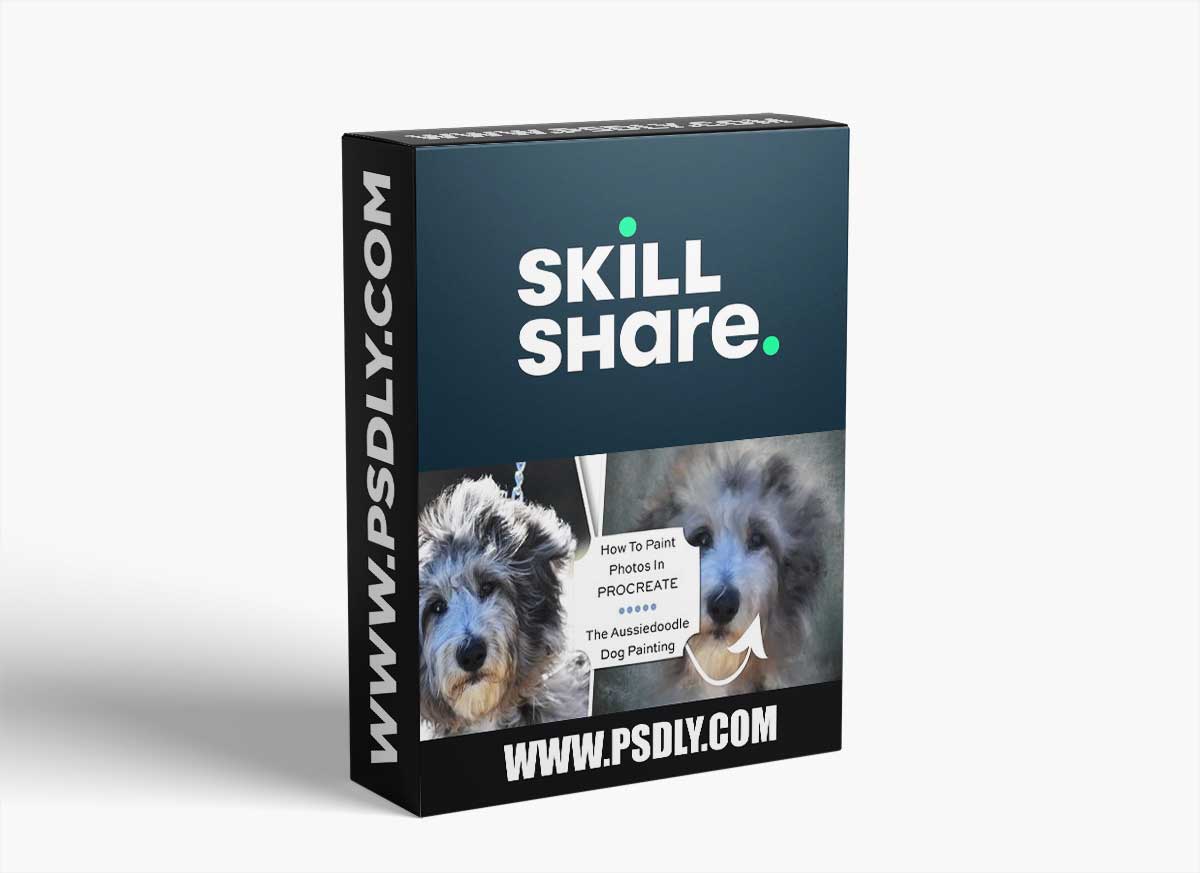 How To Paint Photos In Procreate: The Aussiedoodle Dog Painting