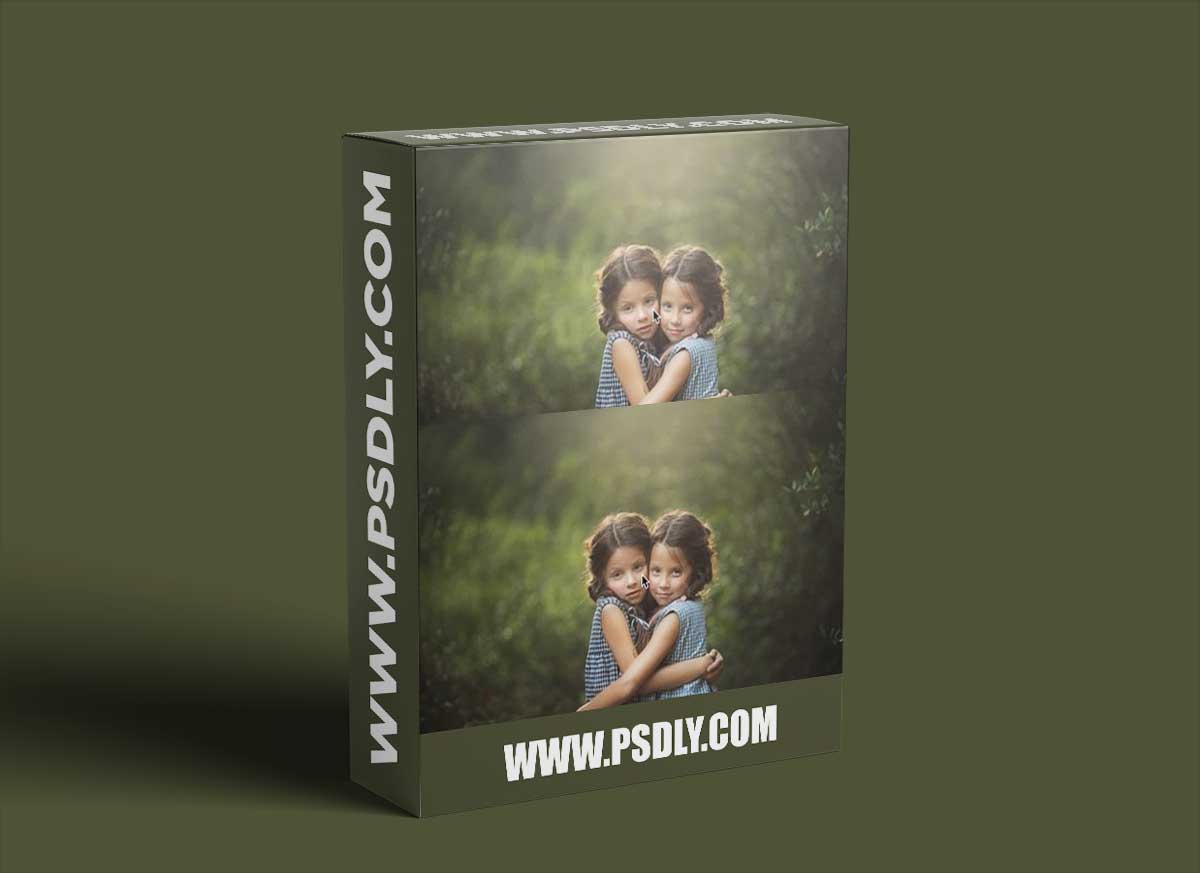 Lemmonmade Photography - Creative Artist Collection