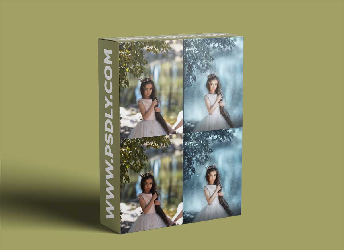 Lisset Perrier Photography - Snow Queen