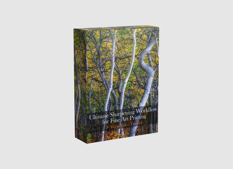 Mark Metternich - Ultimate Sharpening Workflow for Fine Art Printing