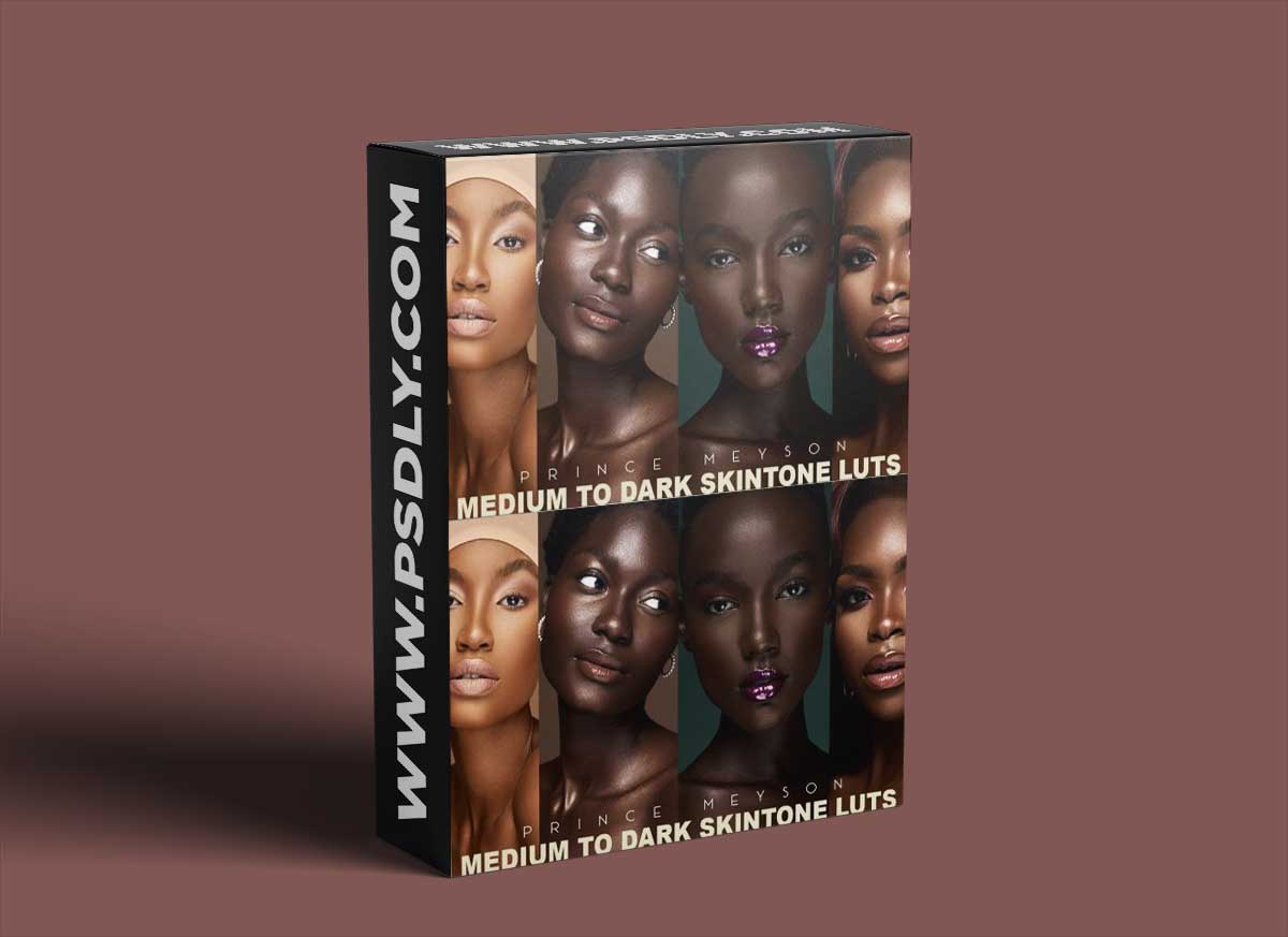 Prince Meyson - Medium to Dark SkinTone LUTs For Photoshop