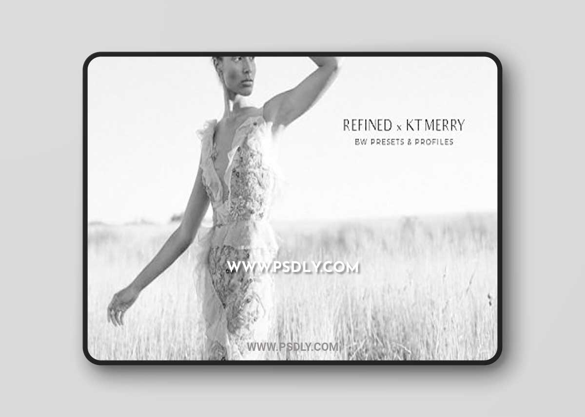REFINED x KT MERRY - BW PRESETS & PROFILES
