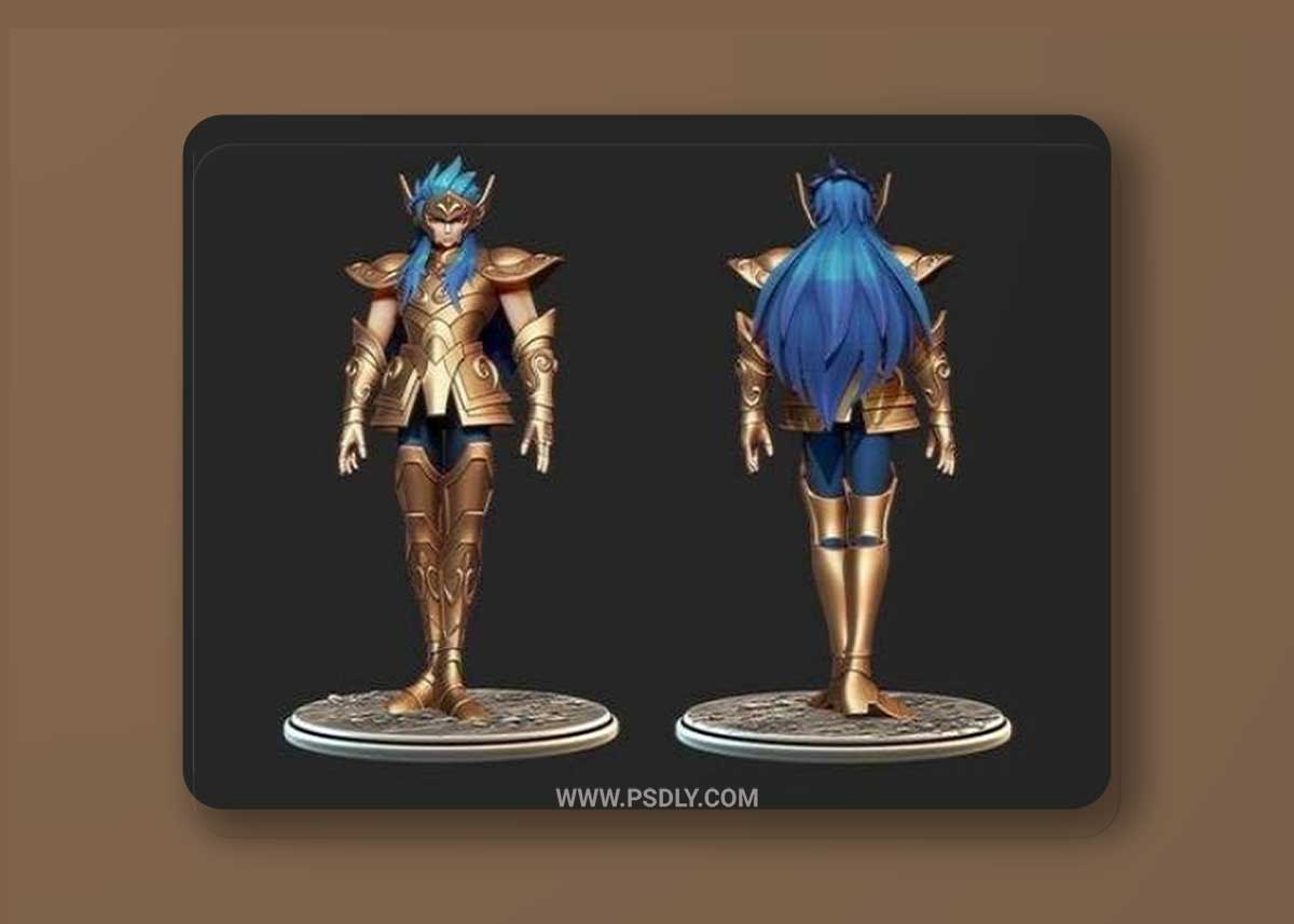 Saint Seiya Kamus Aquarius 3D Model