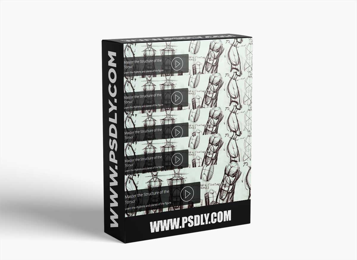 Structure of the Torso with Danny Galieote