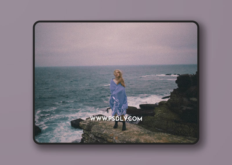 The Classic Film Presets 2021