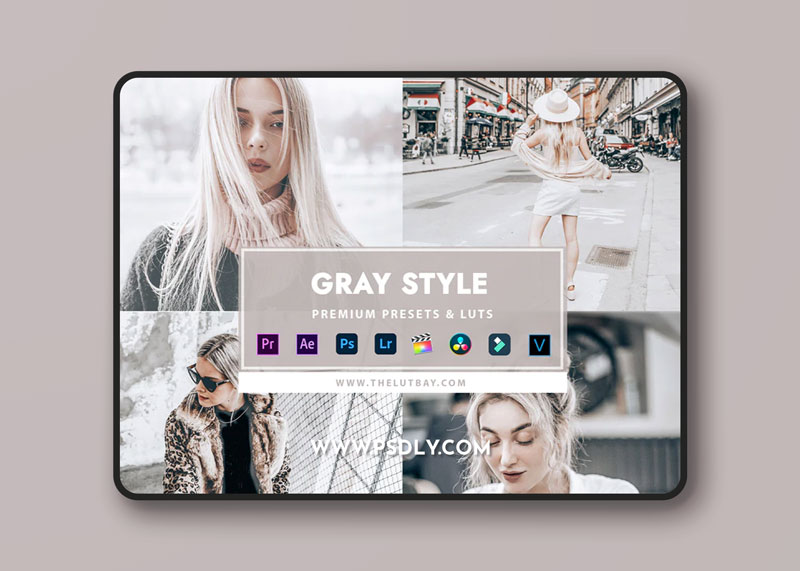 Thelutbay GRAY STYLE