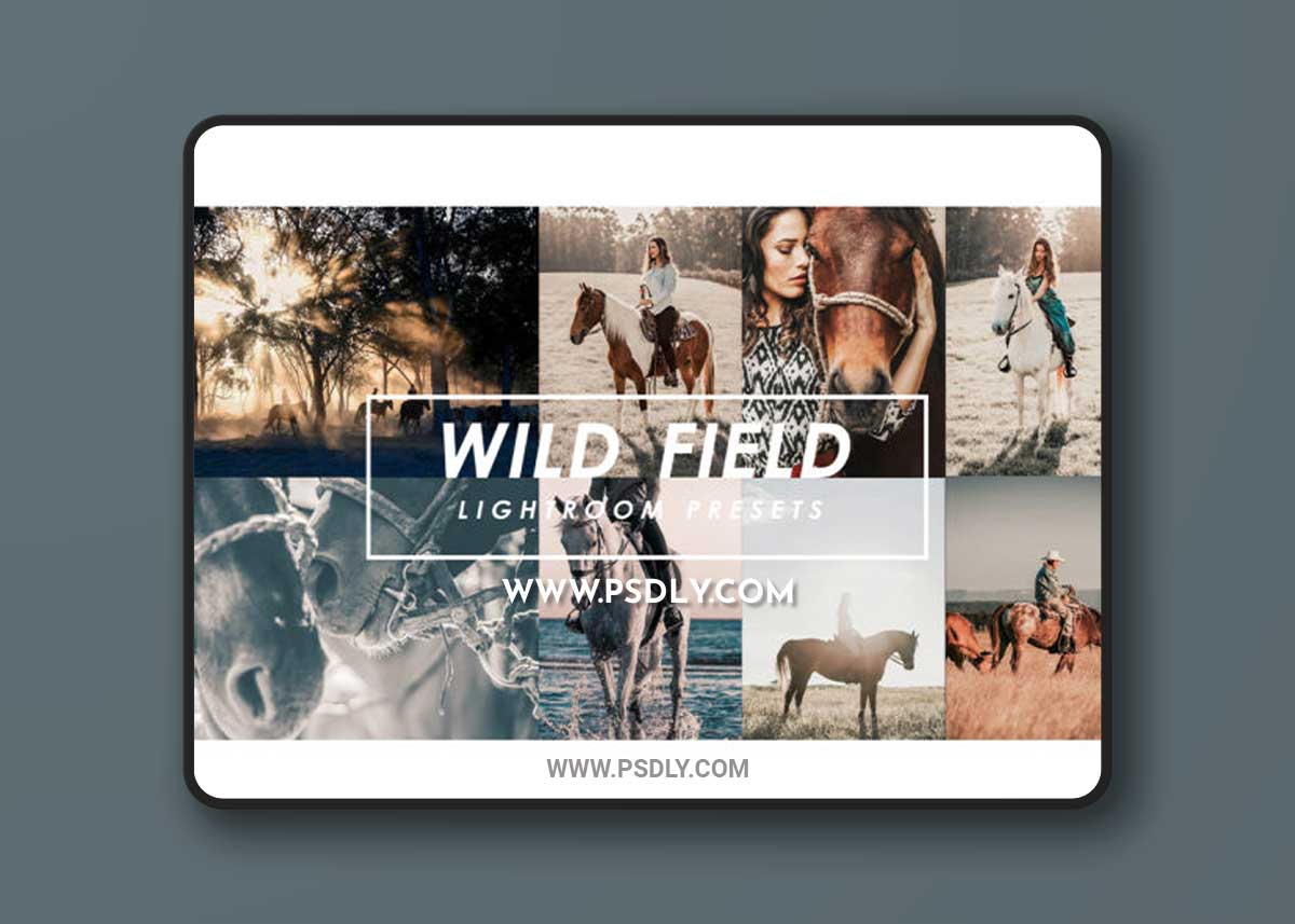 WILD FIELD PRESETS