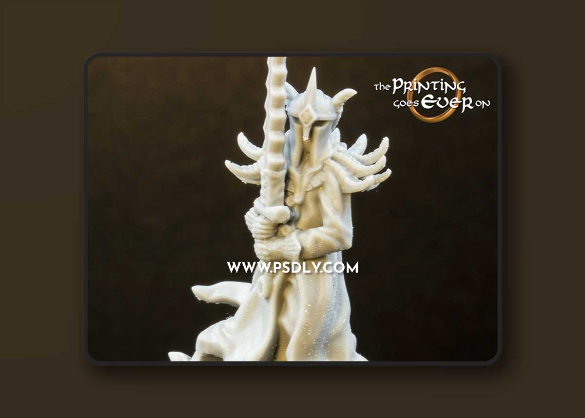3D Print Dark King