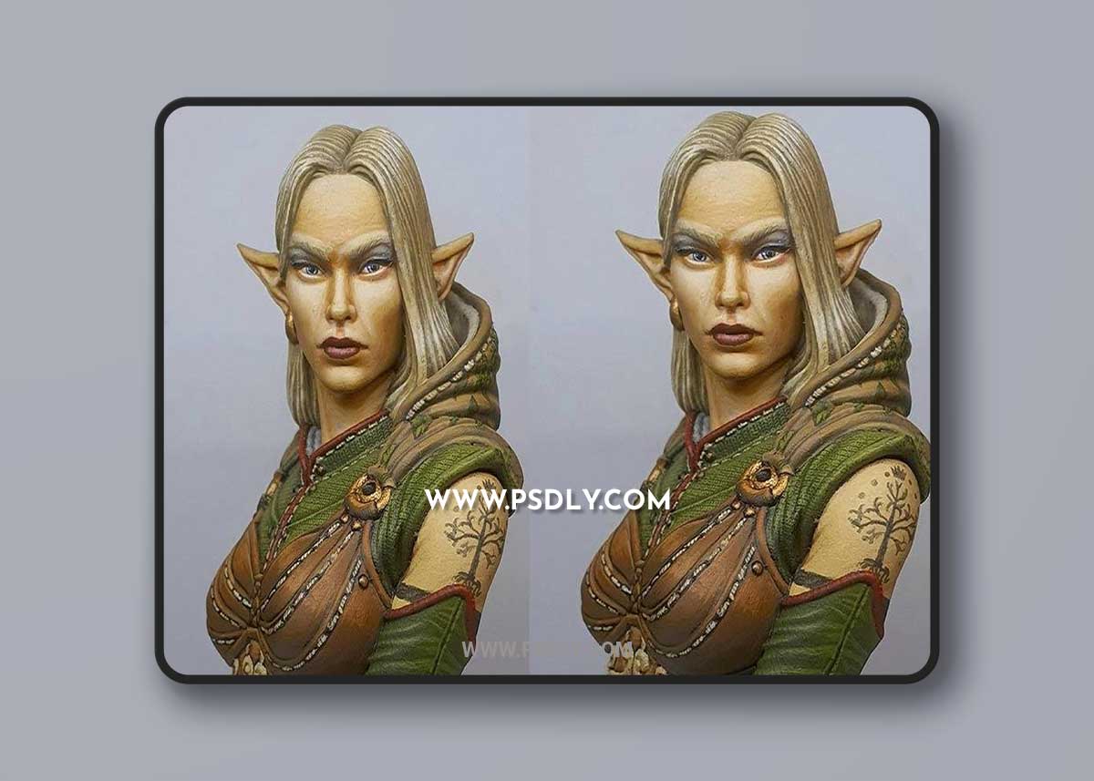 3D Print Mary Arsys Bust Model