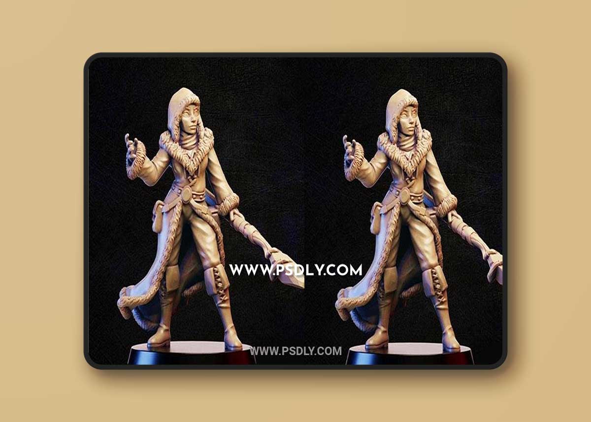 3D Print Model Frost mage Model