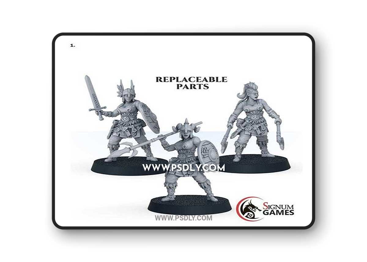 3D Print Model Signum - Skagard Shield Maiden