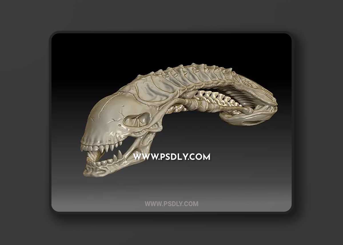 3D-Print-Models-Alien-Skull-3D-Model