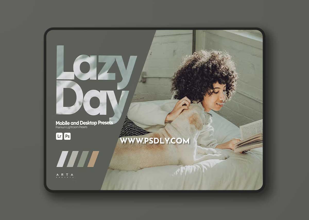 ARTA - Lazy Day Presets for Lightroom