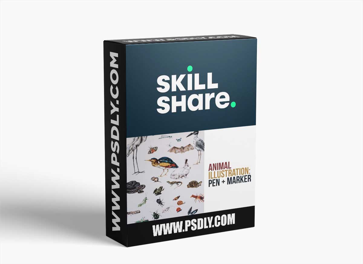 Animal Illustration: Pen and Marker