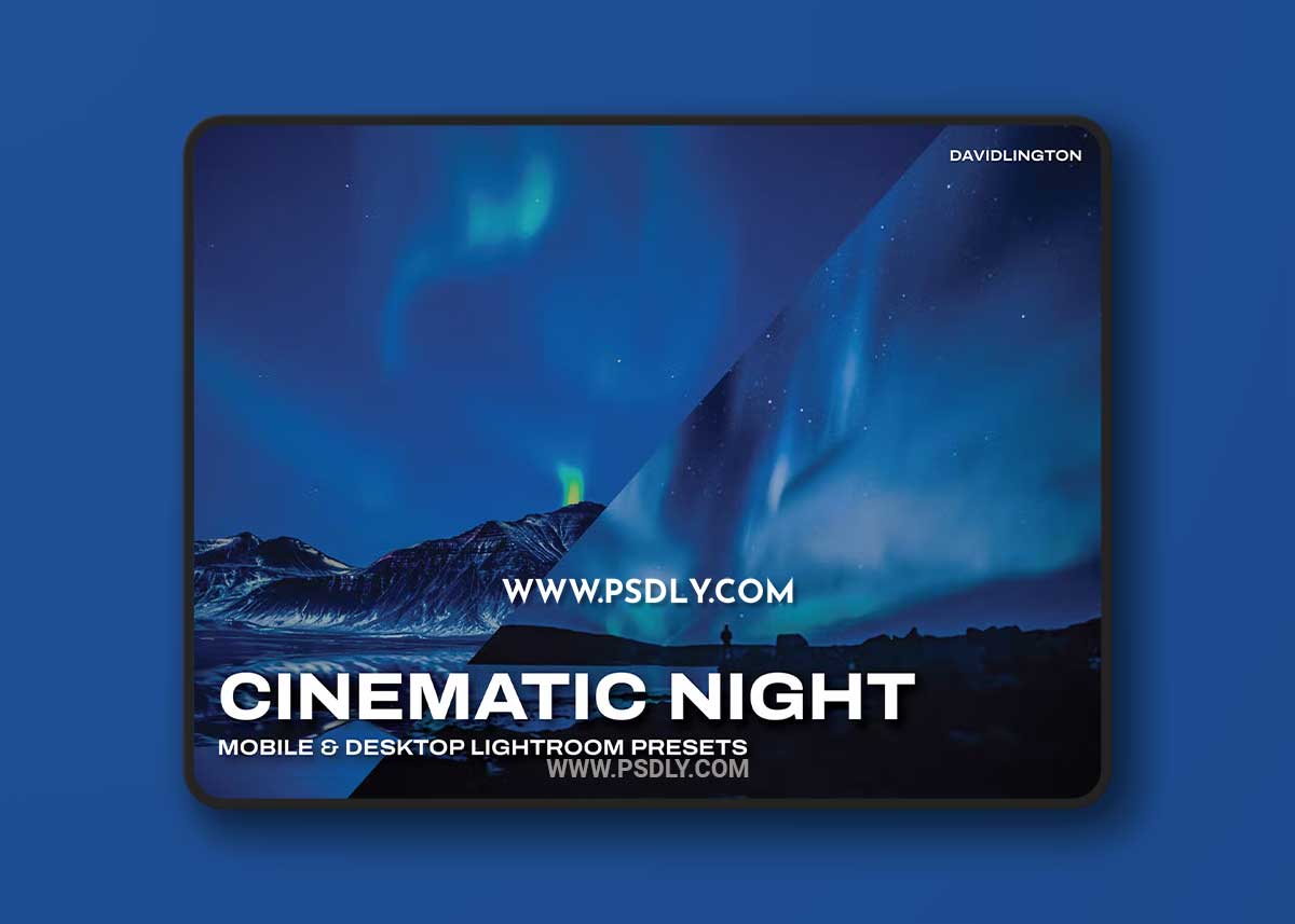 Cinematic Night Lightroom Presets & LUTs