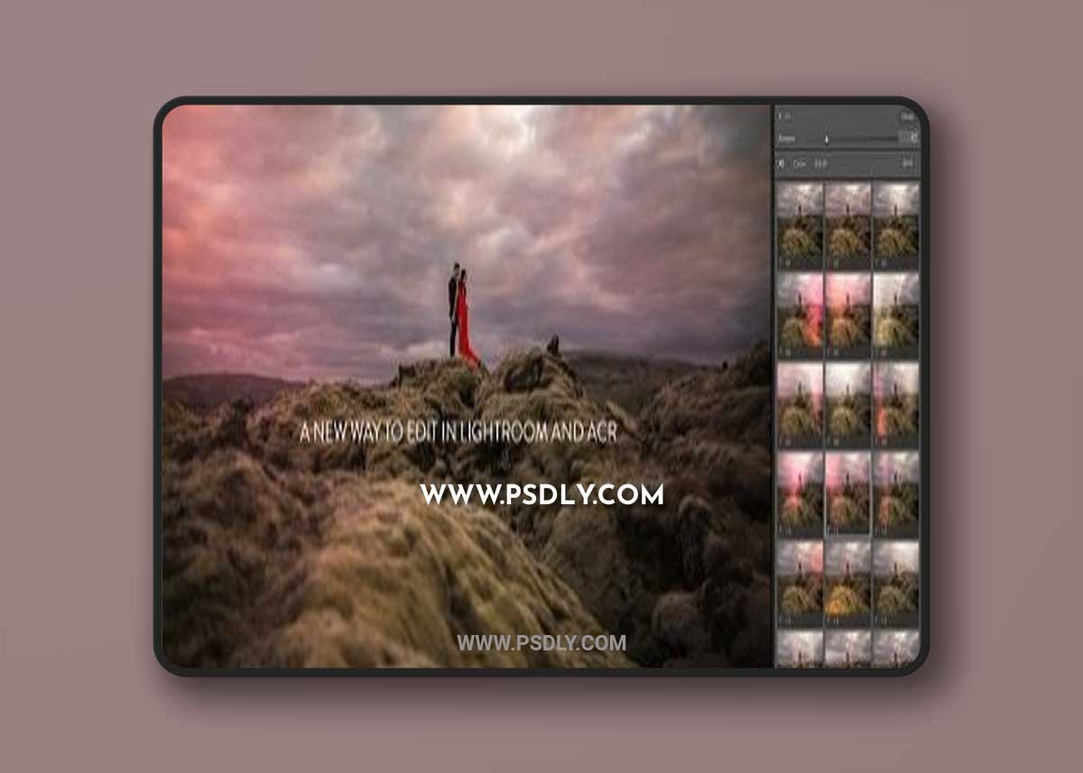 DVLOP - Tweaks and Leaks Presets