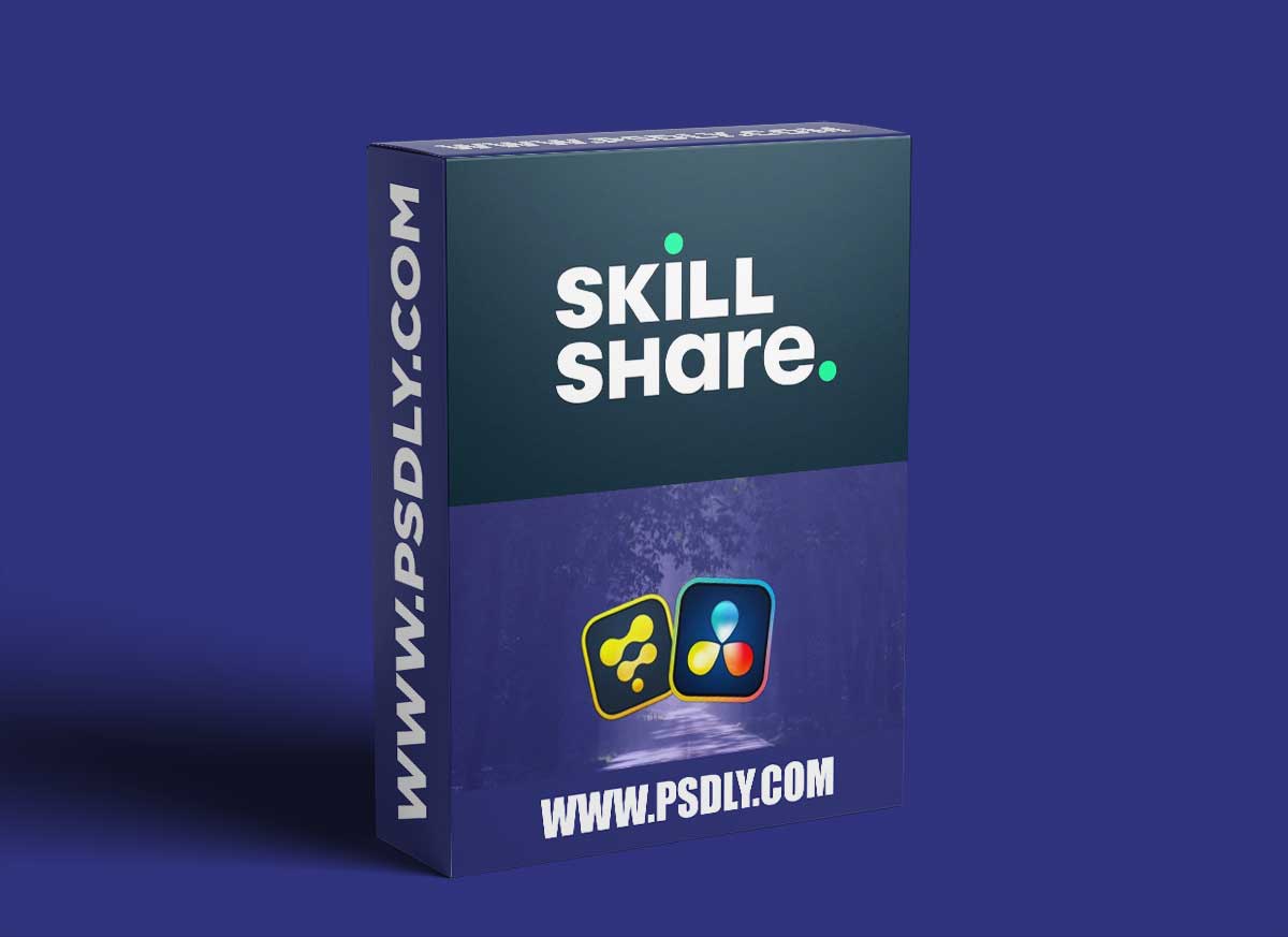 Davinci Resolve fusion for beginner