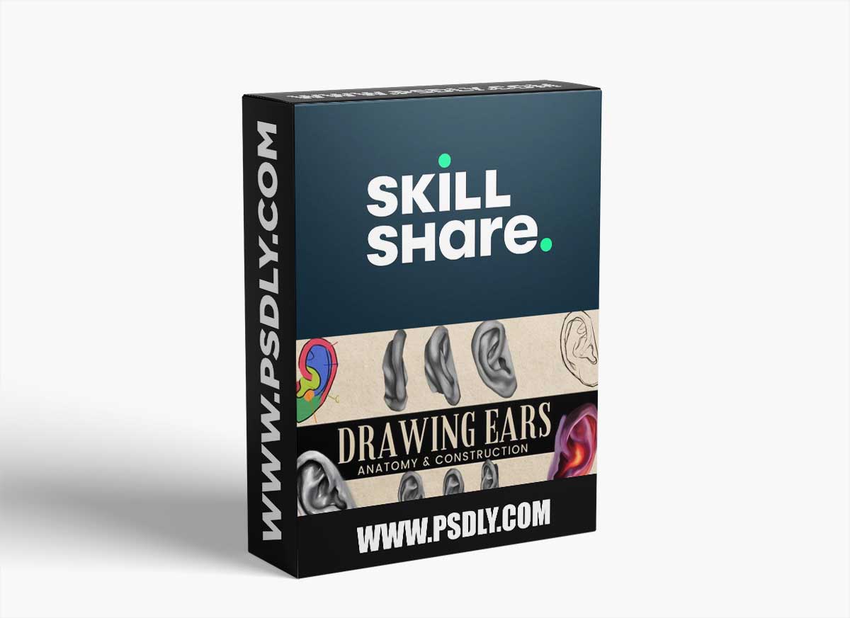 Drawing Ears At Any Angle - Anatomy to Improve Your Art