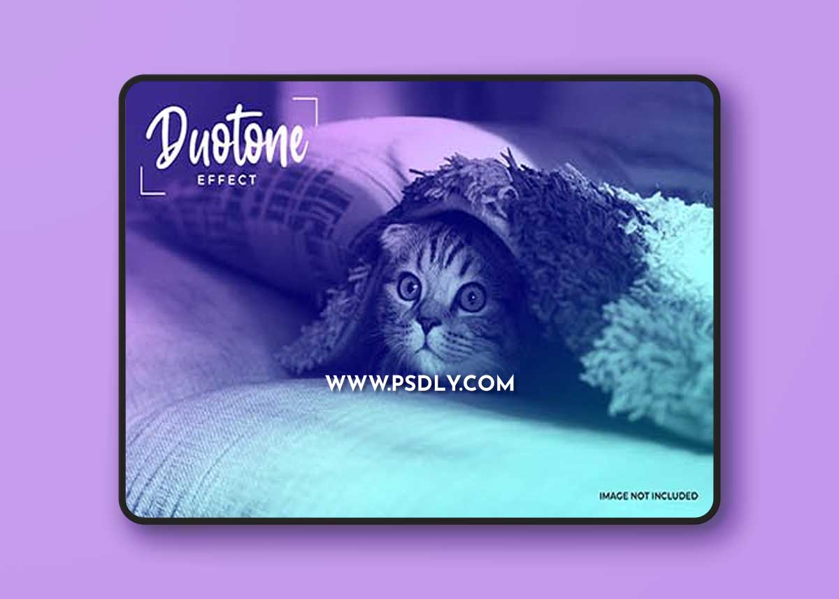 Gradient duotone effect photos