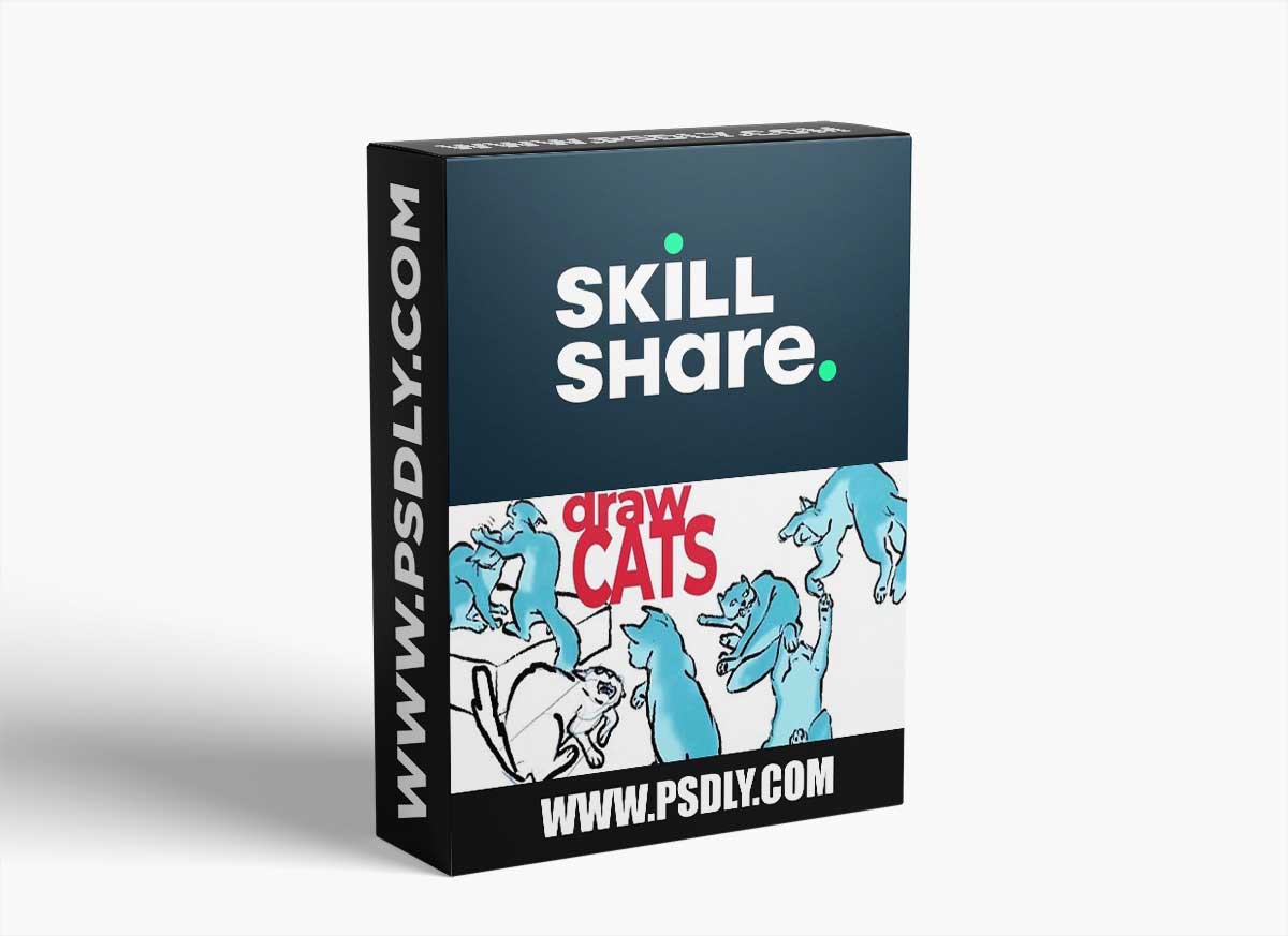 Have Fun Drawing Cats: Combine structure and knowledge with a loose, casual style.