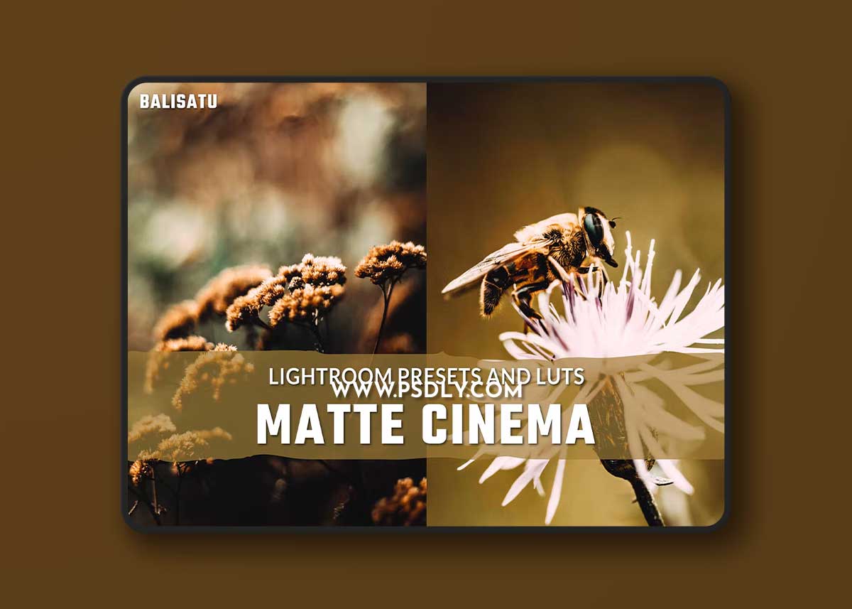 Matte Cinema LUTs and Lightroom Presets 3AD26AA
