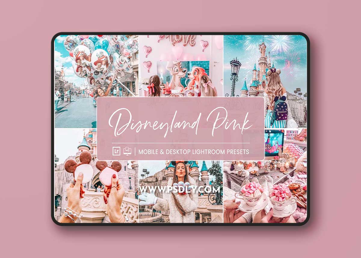 NesPresets - Disneyland