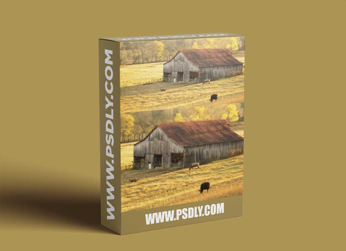 Panoramas & Multiple Exposures by David Johnston