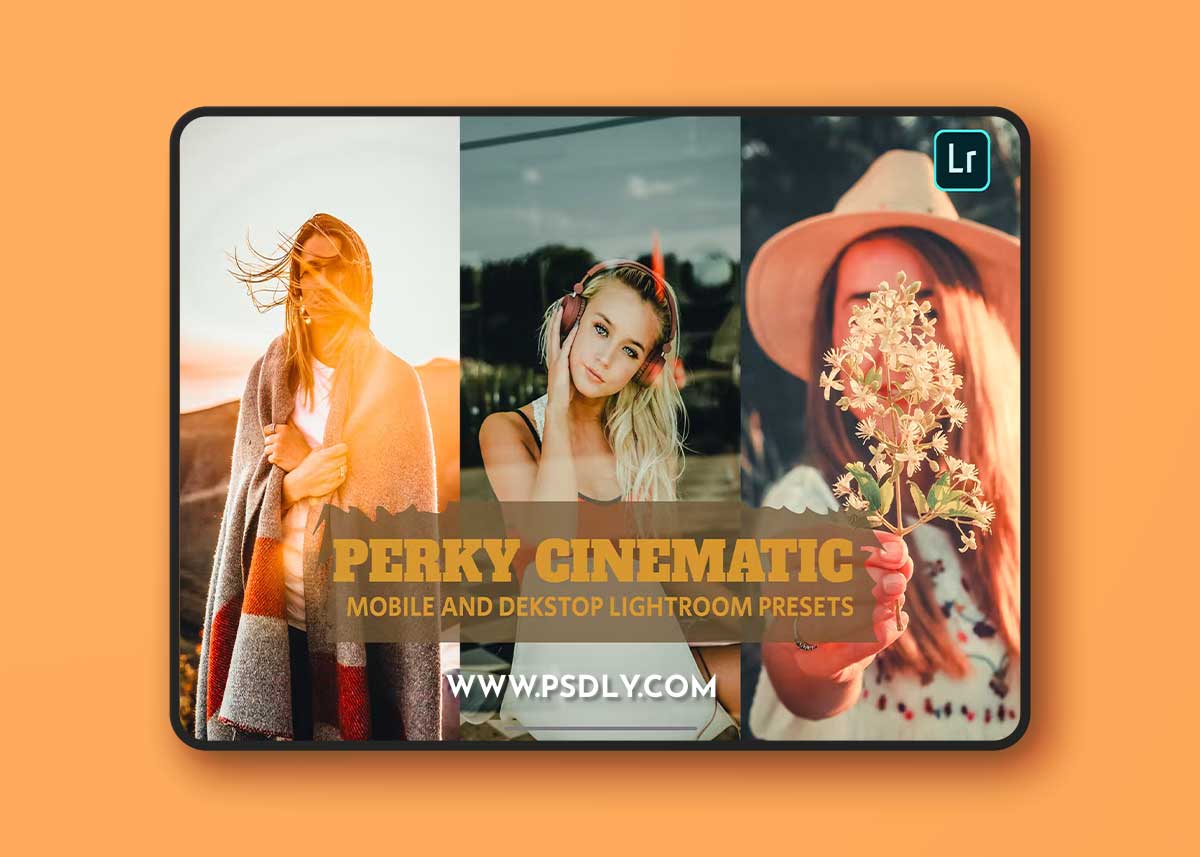Perky Cinematic Lightroom Presets Dekstop Mobile VH6DZJ9